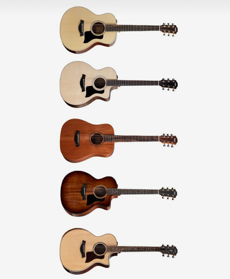 Guitar cord progression for beginners