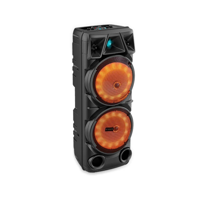 Party Speaker with microphone