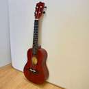 23” Concert Ukulele – Beginner Ukulele for Adults & Kids | NZ Overnight Delivery – JustRightDeals - JustRight deals New Zealand 